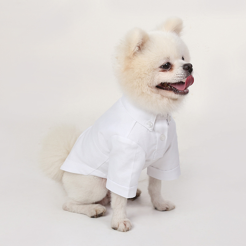 Lente En Herfst Huisdier Bodem - Summer Dog Clothing recensie en prijs