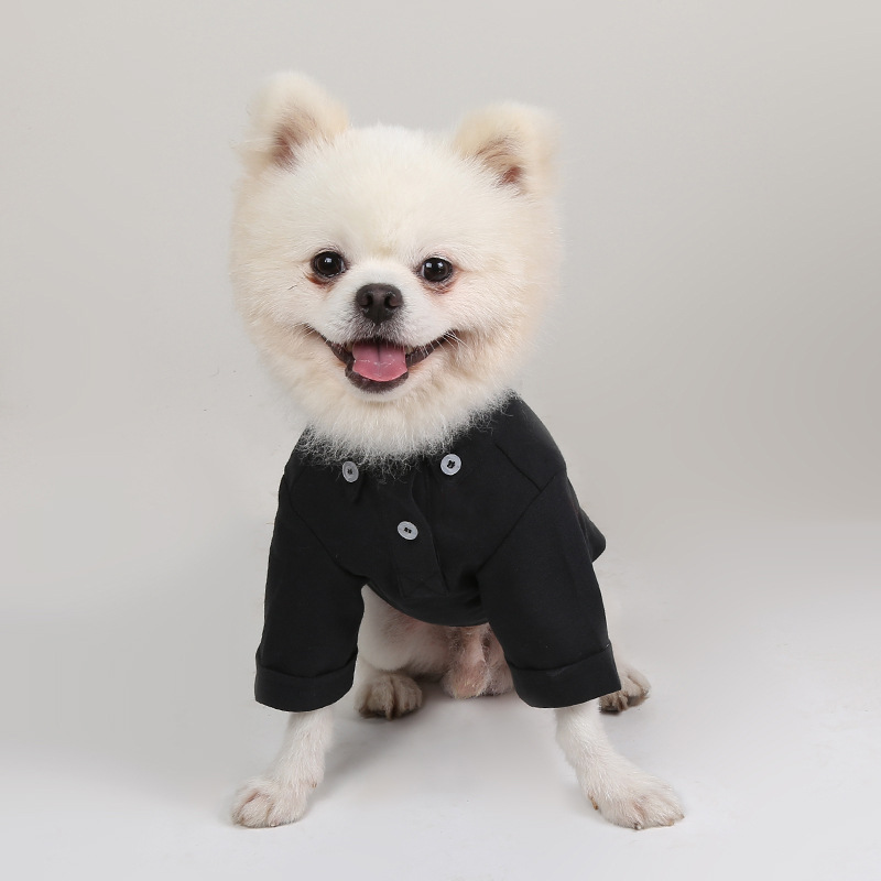 Lente En Herfst Huisdier Bodem - Summer Dog Clothing recensie en prijs