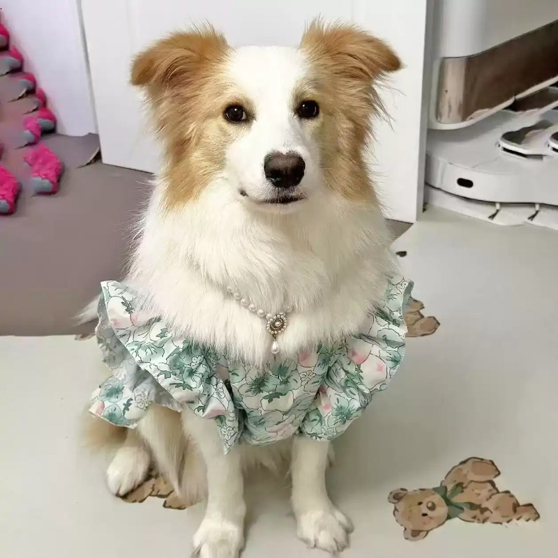 Hondenkleding voor lente en zo - Summer Dog Clothing recensie en prijs