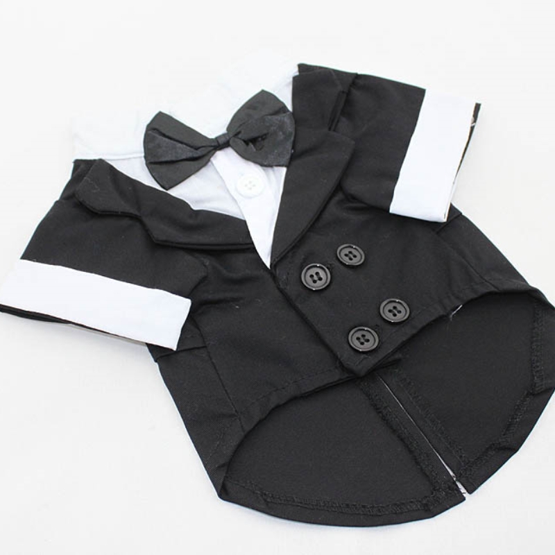 Hondenshirt Puppykleding, Huis - Summer Dog Clothing recensie en prijs