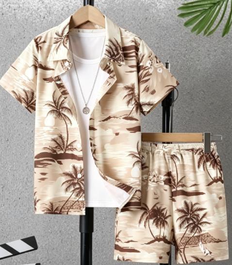 Hawaiiaans tropisch strandland - Beach Shirt Hawaiian recensie en prijs