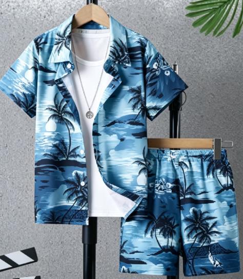 Hawaiiaans tropisch strandland - Beach Shirt Hawaiian recensie en prijs