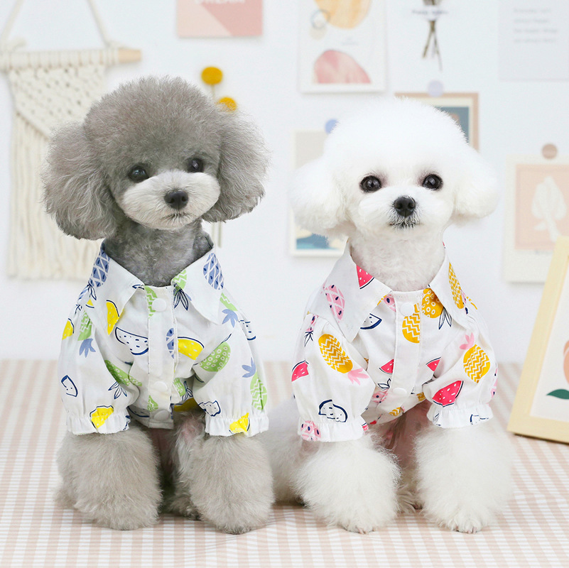 Nieuwe lente-zomerkleding voor - Summer Dog Clothing recensie en prijs