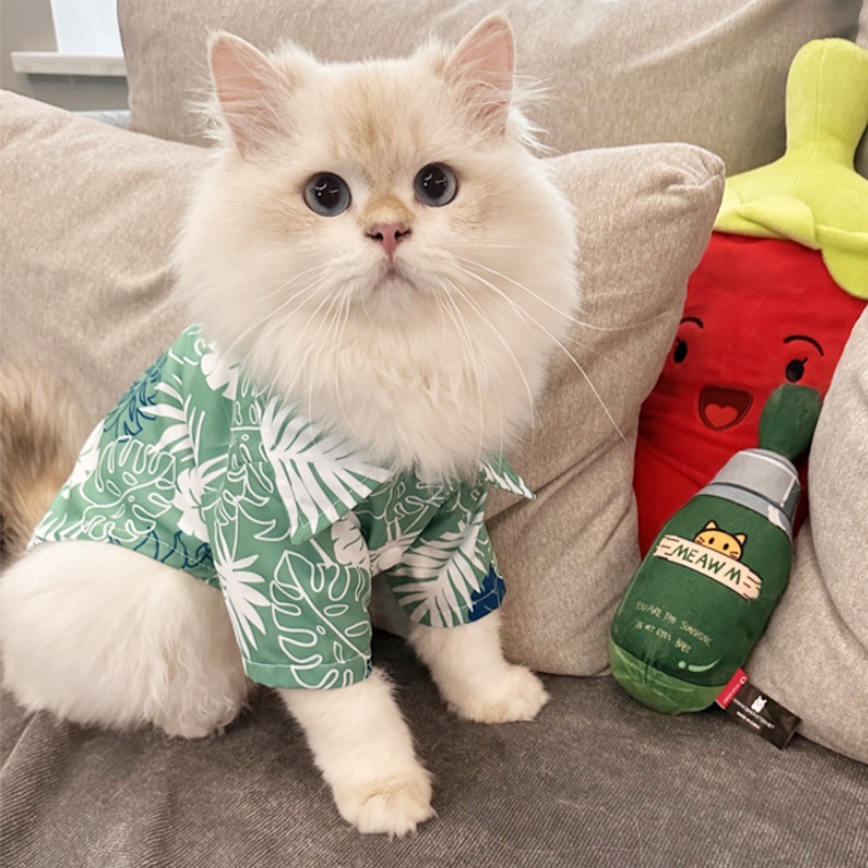 Zomer Hawaiiaans strandstijl h - Summer Dog Clothing recensie en prijs